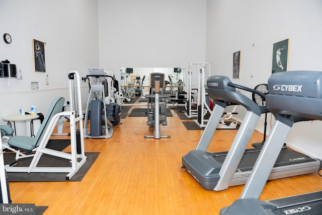 exercise room featuring a towering ceiling