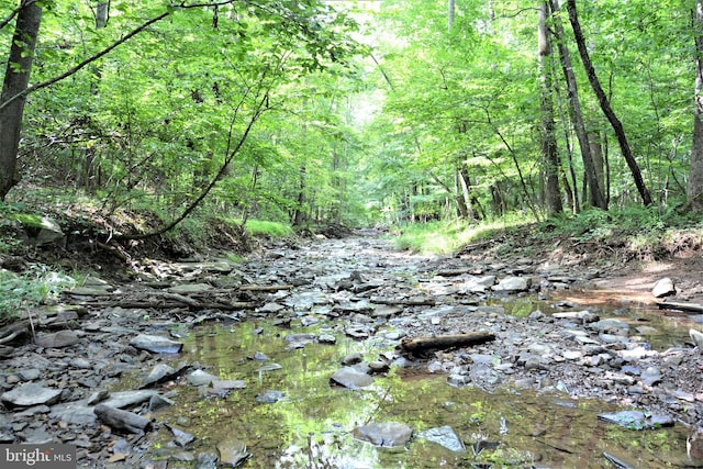 LOT11-HOOVERMTN Pack Horse Rd, Winchester, VA 22603