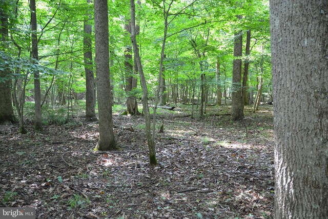 LOT11-HOOVERMTN Pack Horse Rd, Winchester, VA 22603