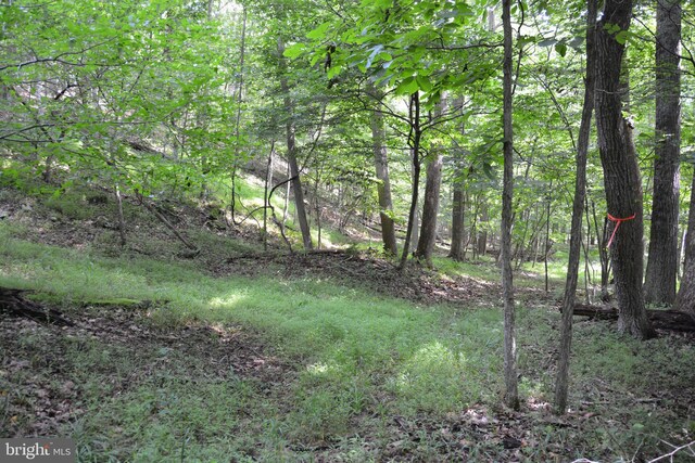 LOT11-HOOVERMTN Pack Horse Rd, Winchester, VA 22603