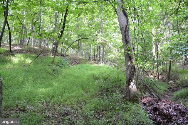 LOT11-HOOVERMTN Pack Horse Rd, Winchester, VA 22603