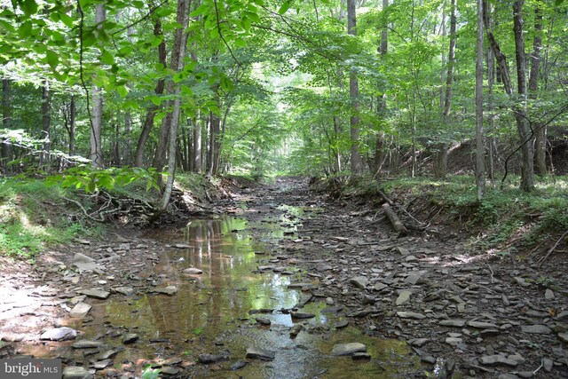 LOT11-HOOVERMTN Pack Horse Rd, Winchester, VA 22603