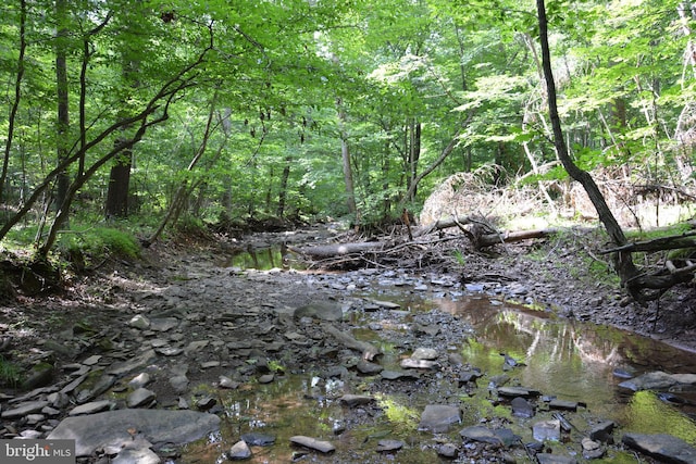 LOT11-HOOVERMTN Pack Horse Rd, Winchester, VA 22603