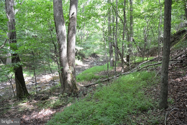 LOT11-HOOVERMTN Pack Horse Rd, Winchester, VA 22603