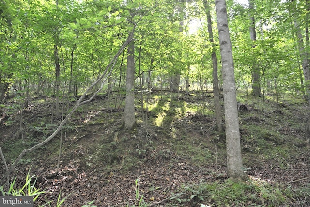 LOT11-HOOVERMTN Pack Horse Rd, Winchester, VA 22603