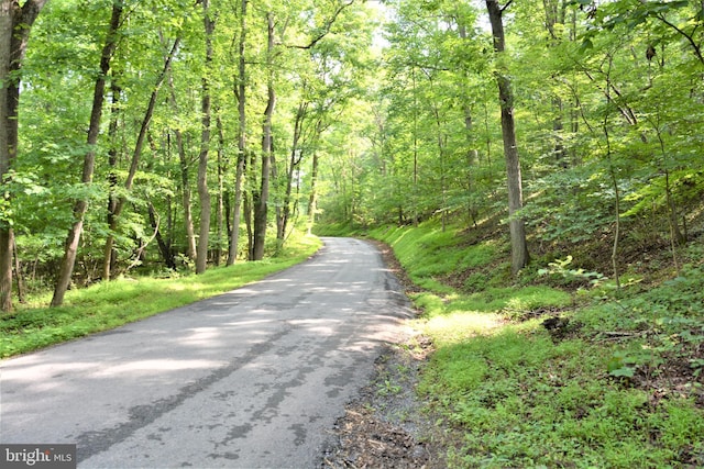LOT11-HOOVERMTN Pack Horse Rd, Winchester, VA 22603
