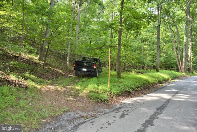 LOT11-HOOVERMTN Pack Horse Rd, Winchester, VA 22603