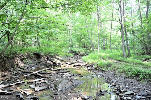 LOT11-HOOVERMTN Pack Horse Rd, Winchester, VA 22603