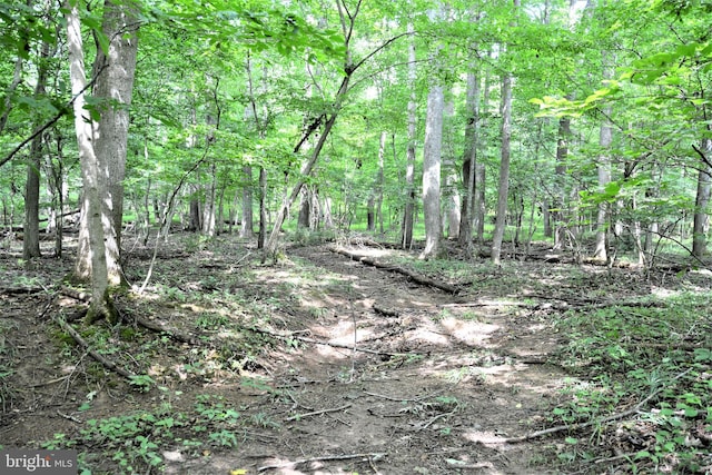 LOT11-HOOVERMTN Pack Horse Rd, Winchester, VA 22603