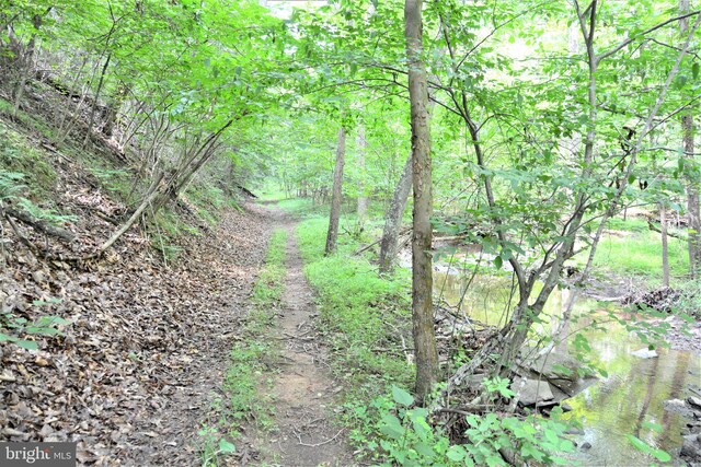LOT11-HOOVERMTN Pack Horse Rd, Winchester, VA 22603
