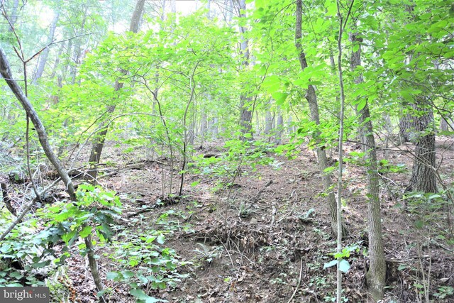 LOT11-HOOVERMTN Pack Horse Rd, Winchester, VA 22603