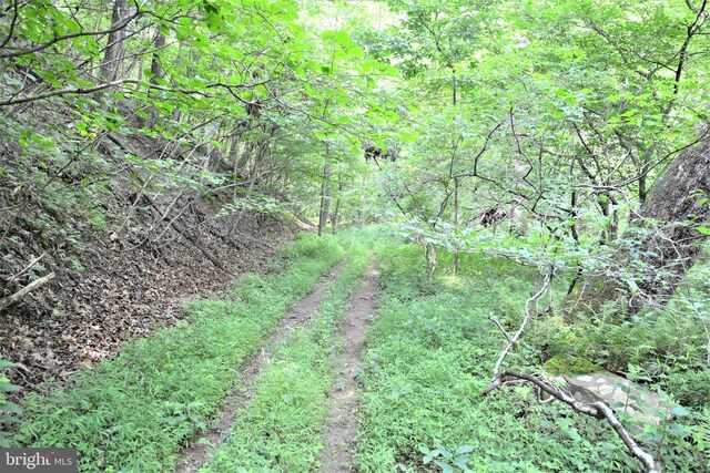 LOT11-HOOVERMTN Pack Horse Rd, Winchester, VA 22603
