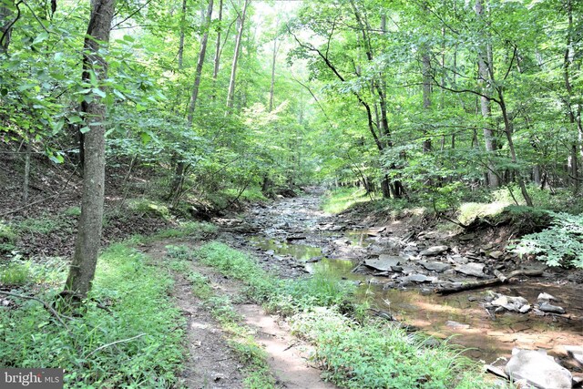 LOT11-HOOVERMTN Pack Horse Rd, Winchester, VA 22603