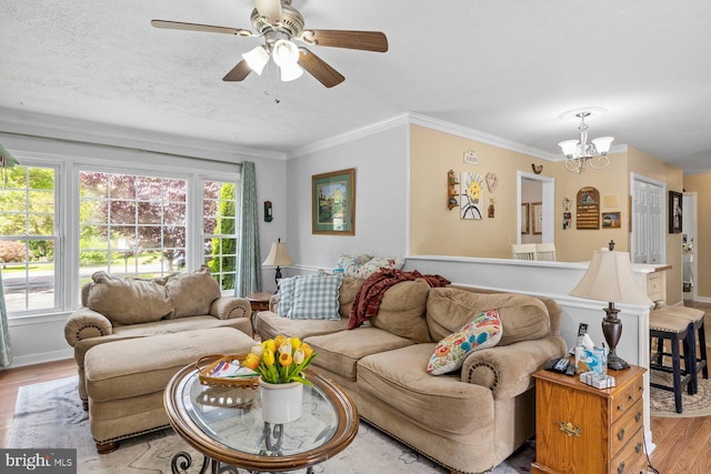 202 Stern Cv, Stafford, VA 22554 - living room featuring light wood-style floors, a chandelier, ceiling fan, and ornamental molding