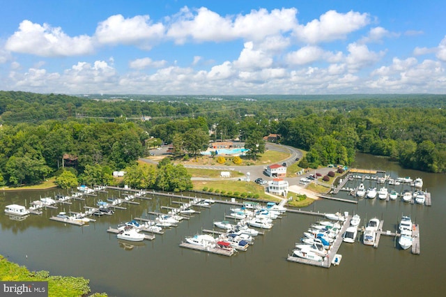 202 Stern Cv, Stafford, VA 22554 - drone / aerial view of a heavily wooded area, a marina, and a nearby body of water
