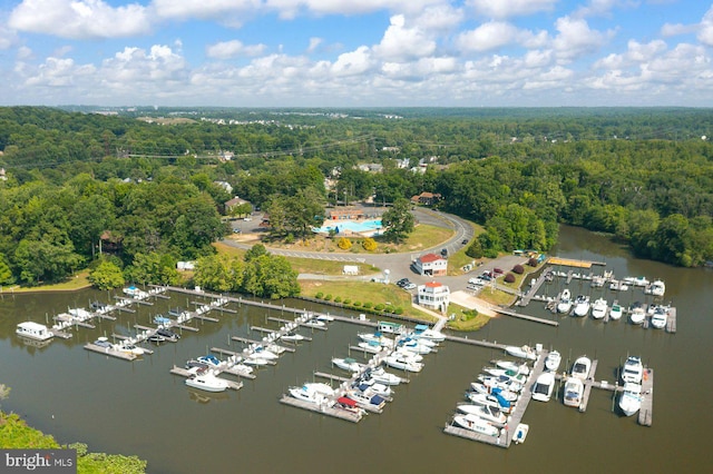 202 Stern Cv, Stafford, VA 22554 - aerial view of a heavily wooded area, a marina, and a nearby body of water