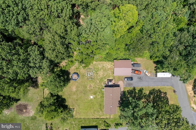 23745 Hicks Dr, Leonardtown, MD 20650 - view of property location with a forest