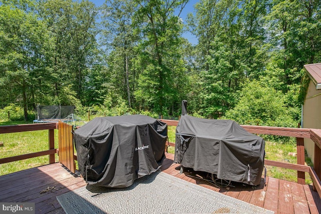 23745 Hicks Dr, Leonardtown, MD 20650 - deck with a trampoline and grilling area