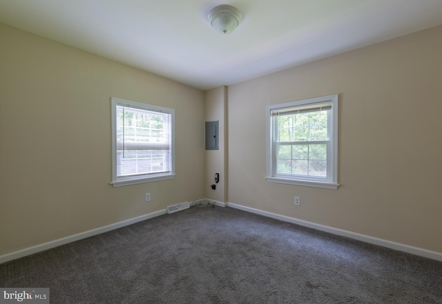 179 Mannington Yorketown Rd, Woodstown, NJ 08098 - unfurnished room with healthy amount of natural light, electric panel, dark colored carpet, and baseboards