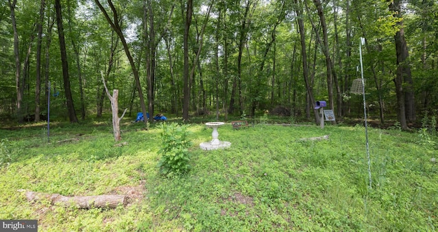 179 Mannington Yorketown Rd, Woodstown, NJ 08098 - view of yard featuring a view of trees