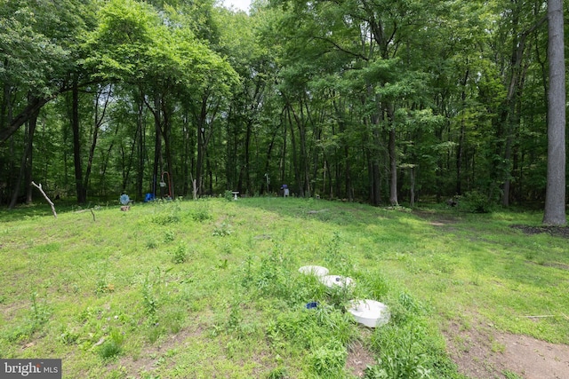 179 Mannington Yorketown Rd, Woodstown, NJ 08098 - view of yard featuring a wooded view