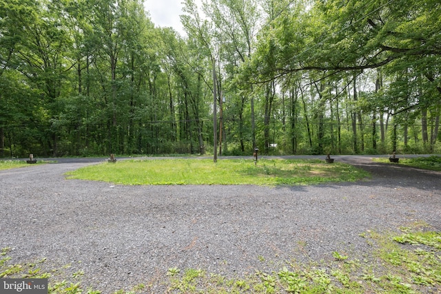 179 Mannington Yorketown Rd, Woodstown, NJ 08098 - view of street with a wooded view