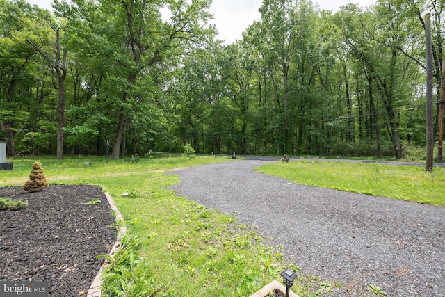 179 Mannington Yorketown Rd, Woodstown, NJ 08098 - view of road featuring a forest view