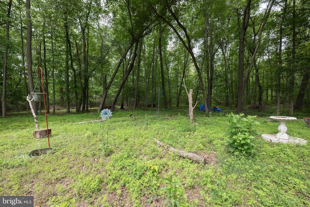 179 Mannington Yorketown Rd, Woodstown, NJ 08098 - view of yard