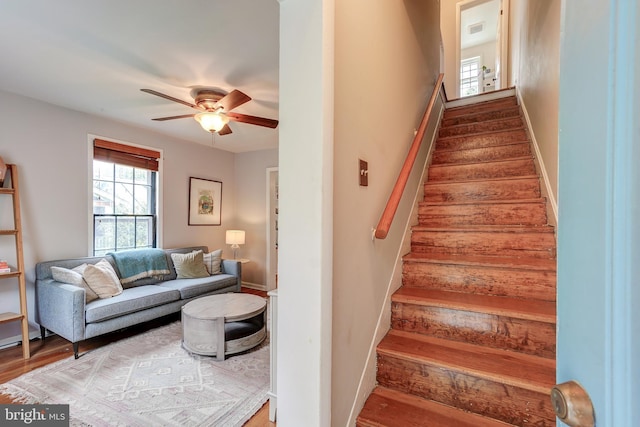 stairs featuring a ceiling fan and wood finished floors