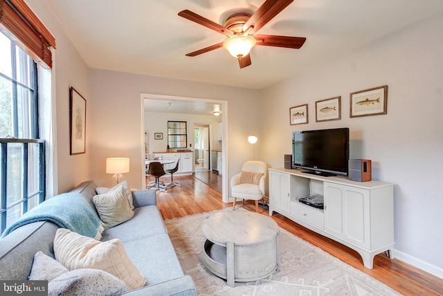living room featuring a ceiling fan, light wood finished floors, and baseboards