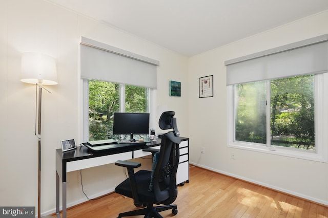 home office featuring plenty of natural light, baseboards, and hardwood / wood-style floors