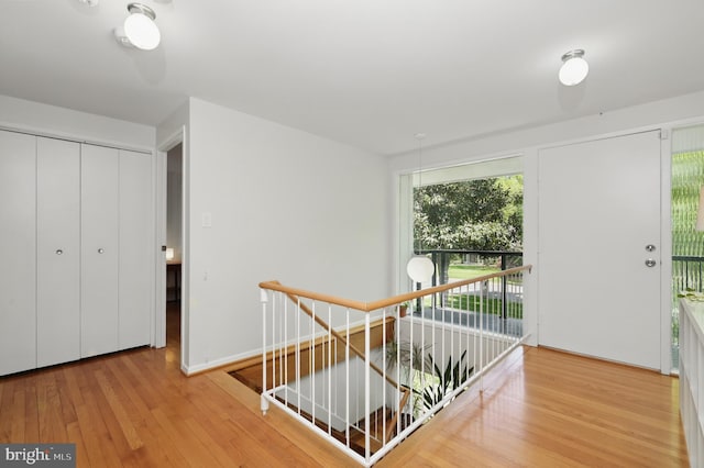 entryway with plenty of natural light and wood finished floors