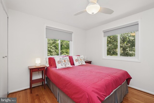 bedroom featuring baseboards, multiple windows, and wood finished floors