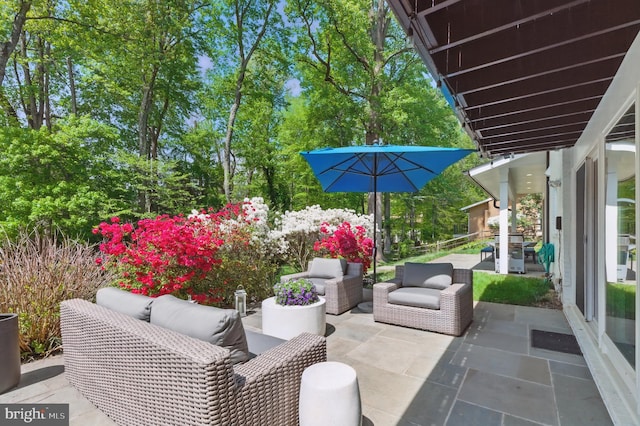 view of patio / terrace featuring area for grilling and outdoor lounge area