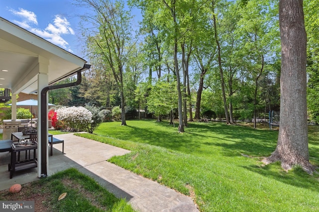 view of yard featuring a patio