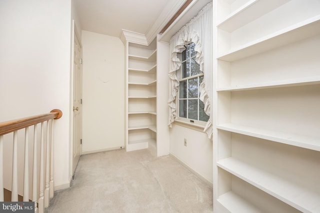 walk in closet featuring carpet flooring