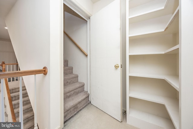 stairs featuring carpet floors