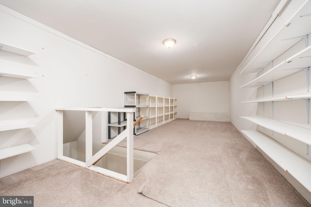 basement with carpet
