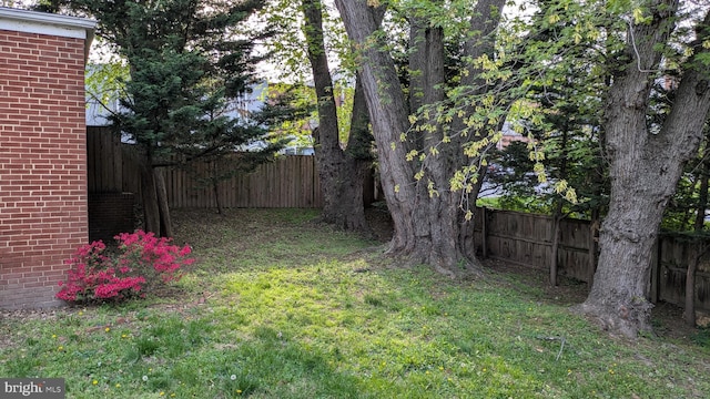 view of yard with a fenced backyard