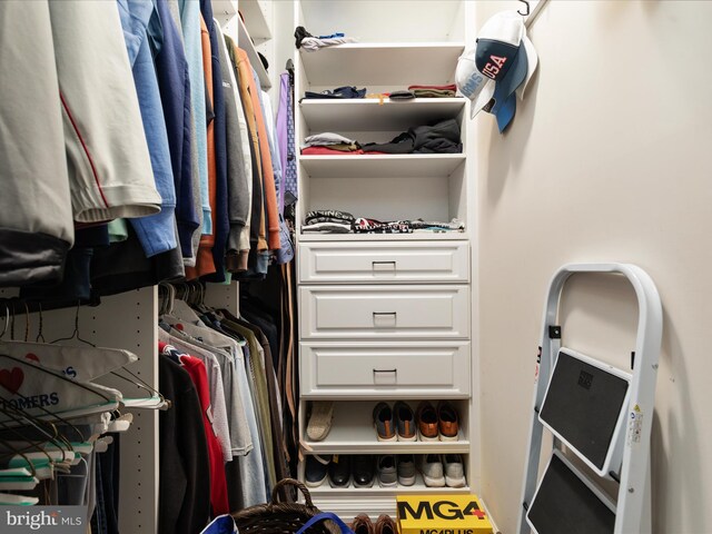 view of spacious closet