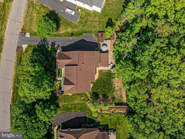 drone / aerial view