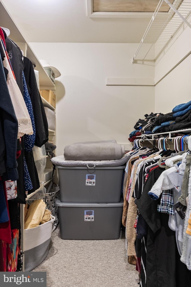 spacious closet with carpet