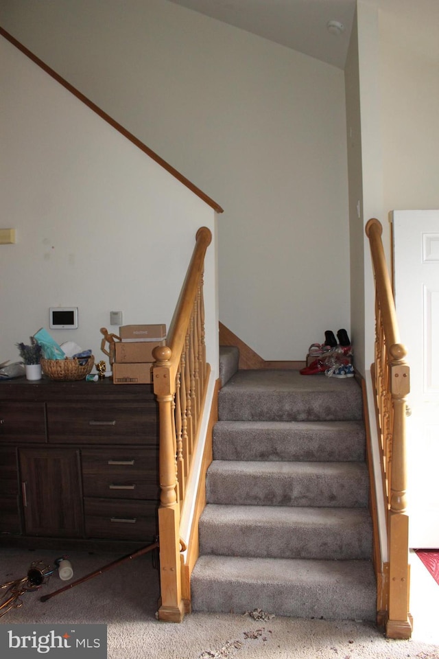 stairway with carpet flooring