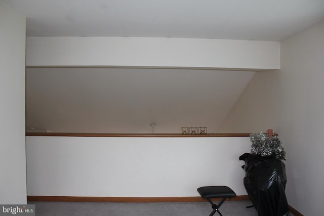 interior space with carpet