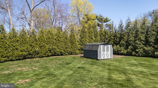 view of yard with an outbuilding and a storage shed