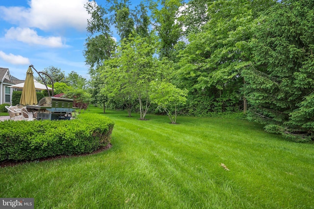 12 Citation Ln, Manalapan, NJ 07726 - view of green lawn