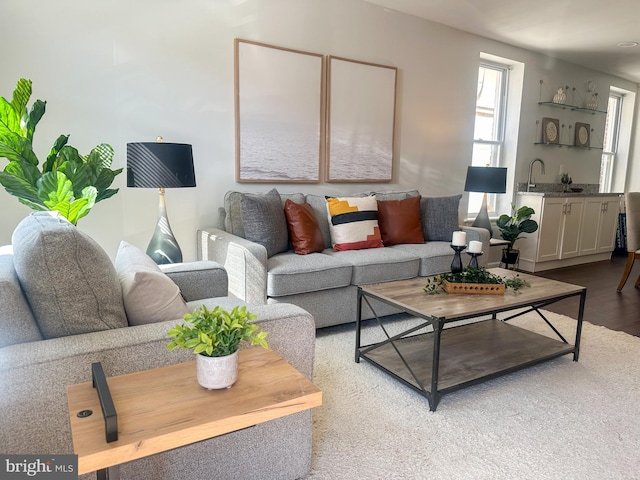 living area with wood finished floors