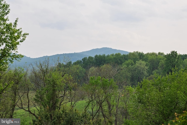 view of mountain feature with a forest view