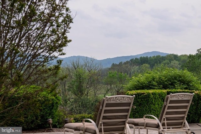 view of mountain feature featuring a view of trees