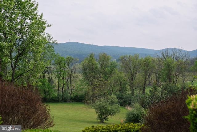property view of mountains